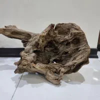 چوب آبنوس دریفت وود مناسب آکواریوم