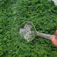 سبزی خرد شده کیلویی ۱۳۰