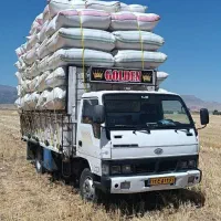 انواع کاه دیم و آبی