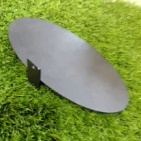 بیضی رگال جای کفش