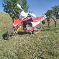 برمودا 250