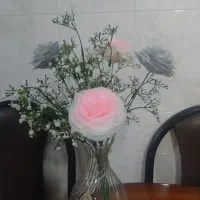 گلدان ،شاخه گل