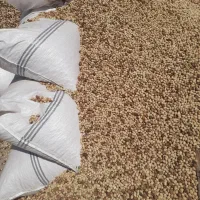 پسته پوک و روابی خریدارم