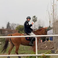 سوارکاری