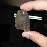سنگ شجر دریایی و جنگلی