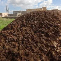 کود حیوانی گوسفندی