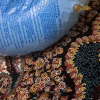 تشک بادی