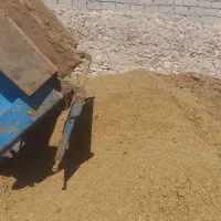 فروش کود گاوی