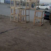 قفس کبوتر برای جفتگاه