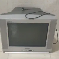 تلویزیون