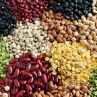 استخدام نیرو (کار در منزل) بسته بندی ویزیتور رانند