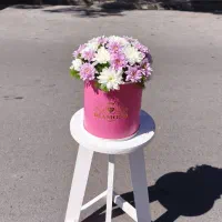 باکس گل اقتصادی