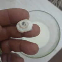 مهره چهرومهرخیلی قدیمی