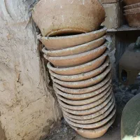 جا تخمی کبوتر