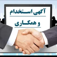 ویزیتور