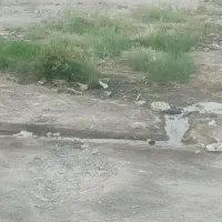 زمین ادیمی فلکه الله سمت چپ روبه رو مسجد بقل پارک
