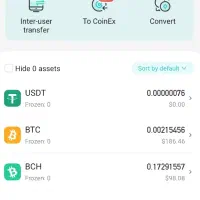 ماینر با استخر viabtc بدون روتر