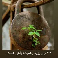 استخدام بدون سابقه