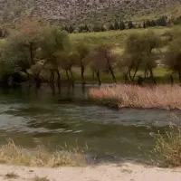 طبعیت گردی