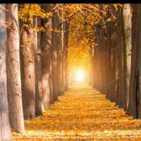 پرستاری از دختر۱۰سالع وامور منزل
