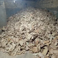 فروش نان خشک فریمان