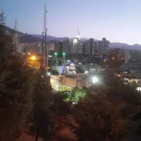 پرستار خانم