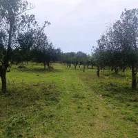 300مترسندمسکونی