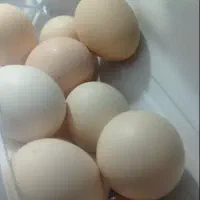 تخم مرغ محلی