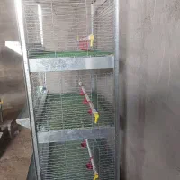 قفس بلدرچین و انواع پرندگان