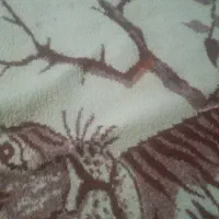 فرش