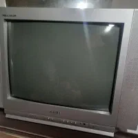 تلوزیون