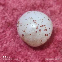 سنگ عقیق|جواهرات|برازجان, |دیوار