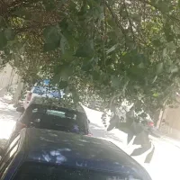 پرایدمدل93فروشی