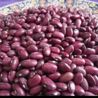 لوبیا قرمز زنجان