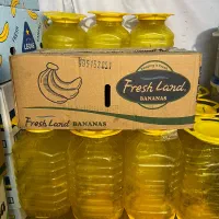پت در فرمانی دبه ترشی