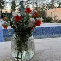 گلهای کادویی ومناسبتی جار گل طبیعی