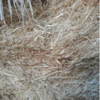 7باک‌ کاه جو درجه یک تمیز