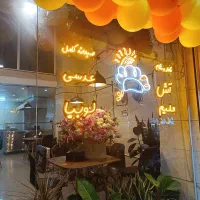 ال ای دی مغازه