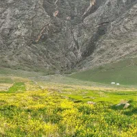 ۲هزار متر زمین مسکونی در قطعات ۲۲۵متر