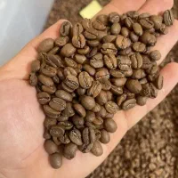 خرید عمده دان قهوه فروش قهوه اسپرسو عمده