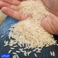 برنج طارمِ هاشمی و شیرودی مستقیم از شمال