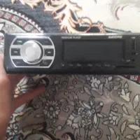 ظبط