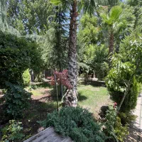 جنگل ترین ویلای  تهراندشت