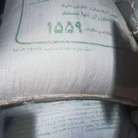 گندم بذری دیم رقم باران