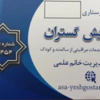 پرستار شبانه روزی