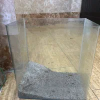 اکواریوم ماهی شیشه خم