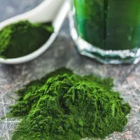 آموزش پرورش ماهی زینتی و جلبک