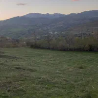 زمین-فروشی
