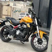 بنلی طلایی
