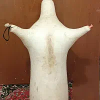 پوست نی انبان